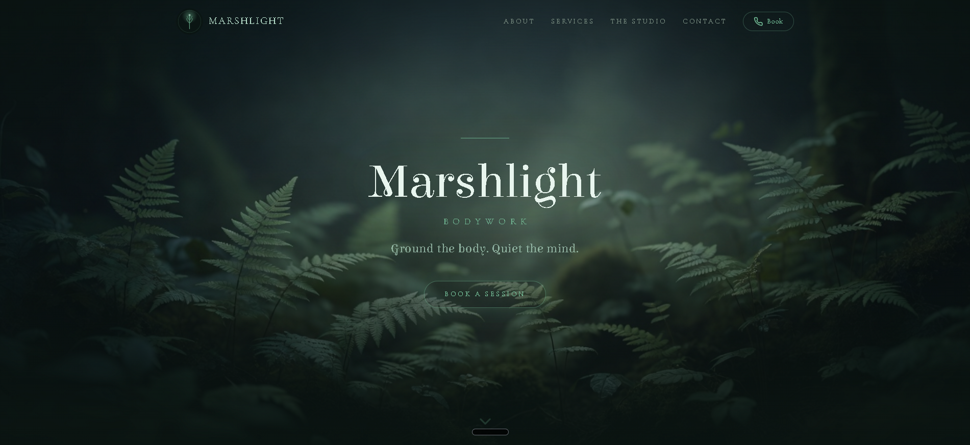 Marshlight Bodywork hero screenshot